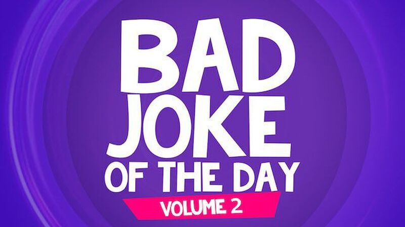 Bad Joke of the Day: Volume 2