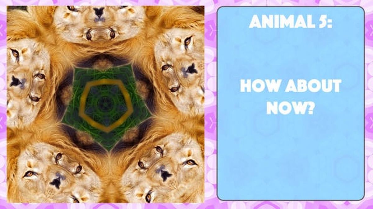 A Kaleidoscopic Quiz Vol. 2 image number null