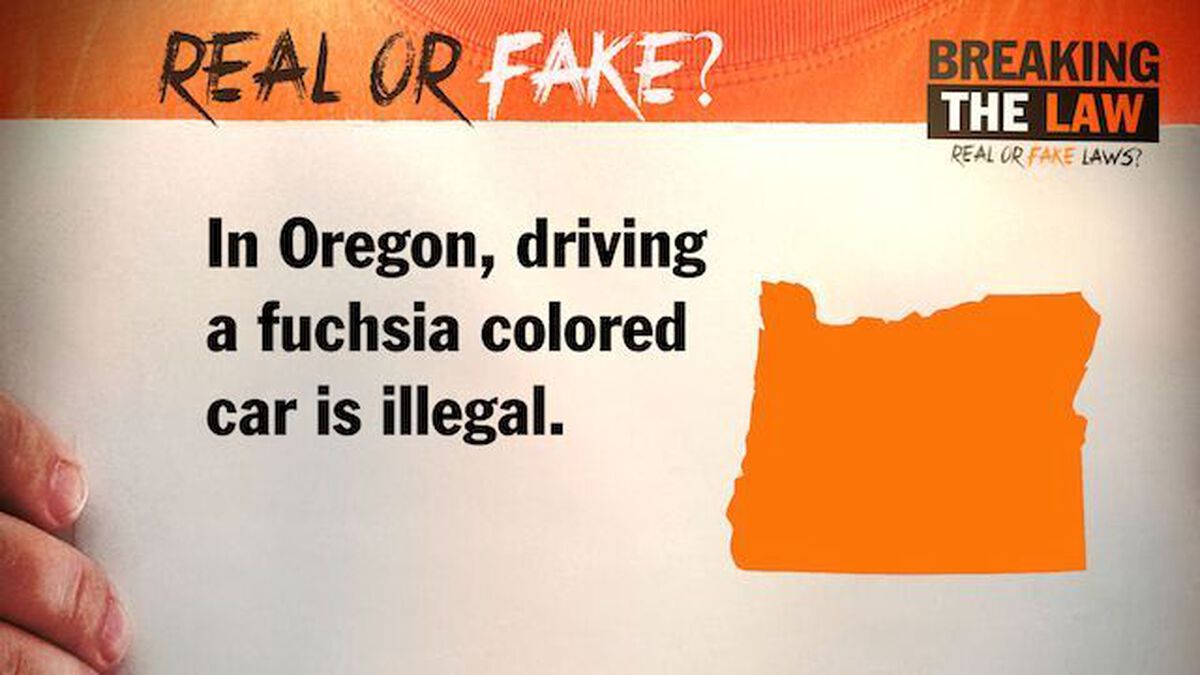 Breaking the Law image number null