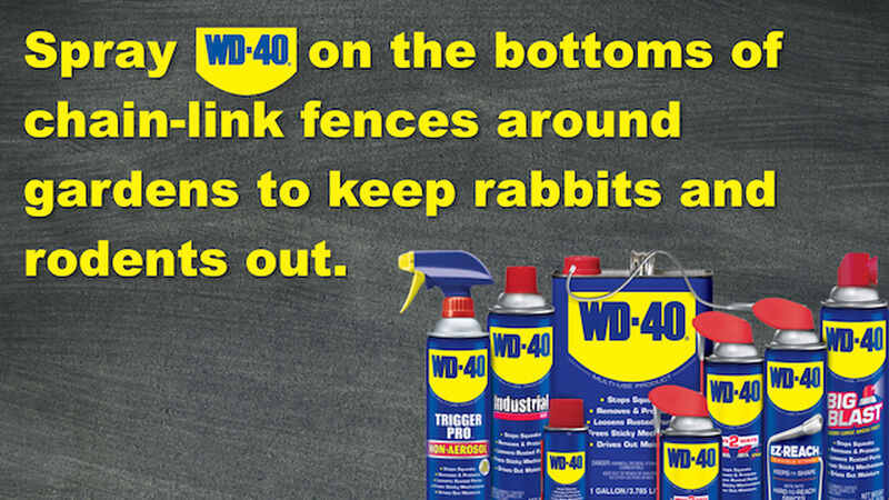 The WD40 Game
