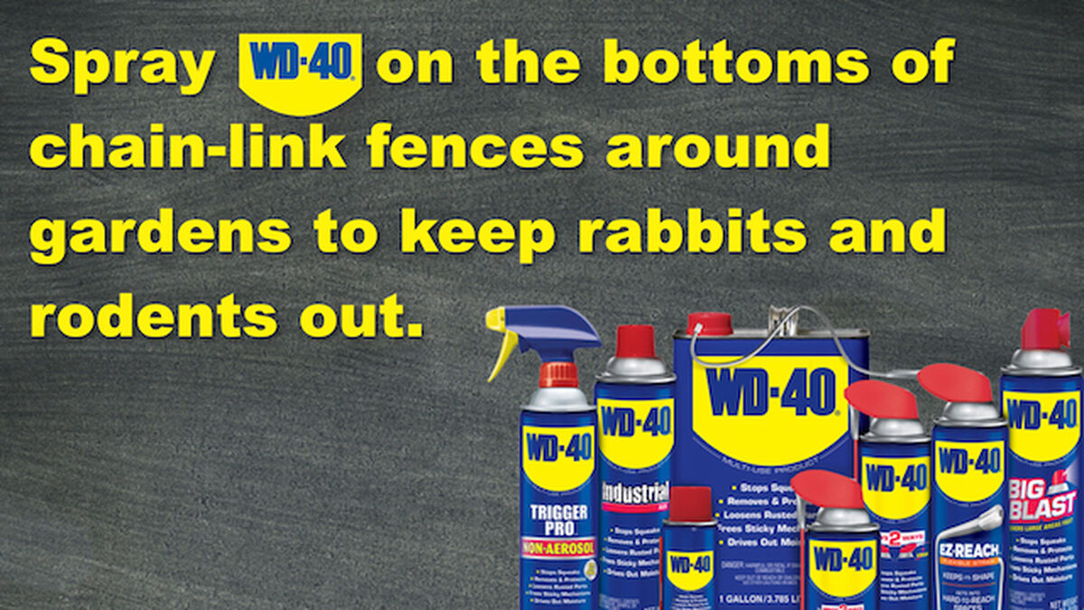 The WD40 Game image number null