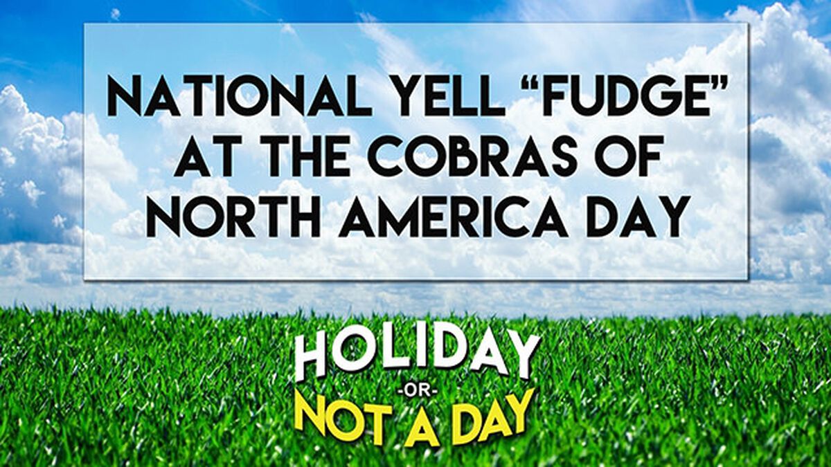 Holiday or Not a Day: June image number null