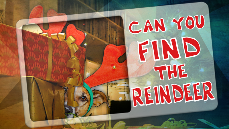 Can You Find The Reindeer?