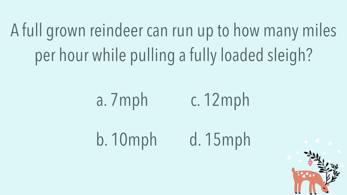 Reindeer Trivia image number null