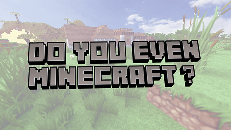 Do You Even Minecraft
