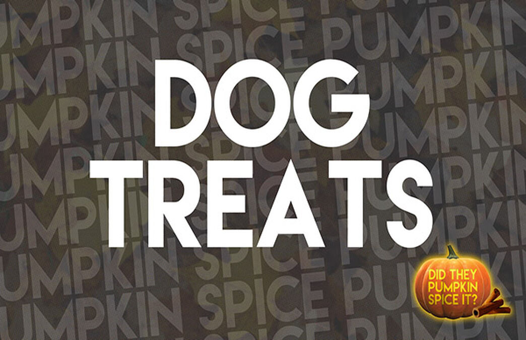 Did They Pumpkin Spice It? image number null