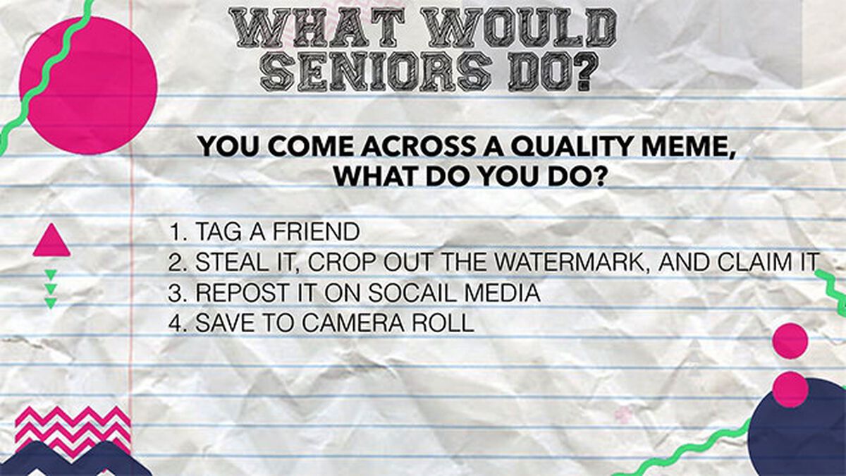 What Would Seniors Do? image number null