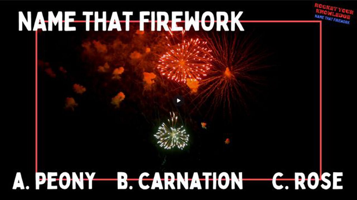 Rocket Your Knowledge - Name That Firework image number null