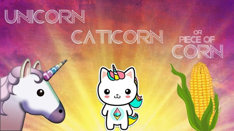 Unicorn, Caticorn, or Piece of Corn?