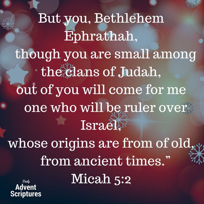 Daily Advent Scripture - Volume II [Social Media  Package] image number null
