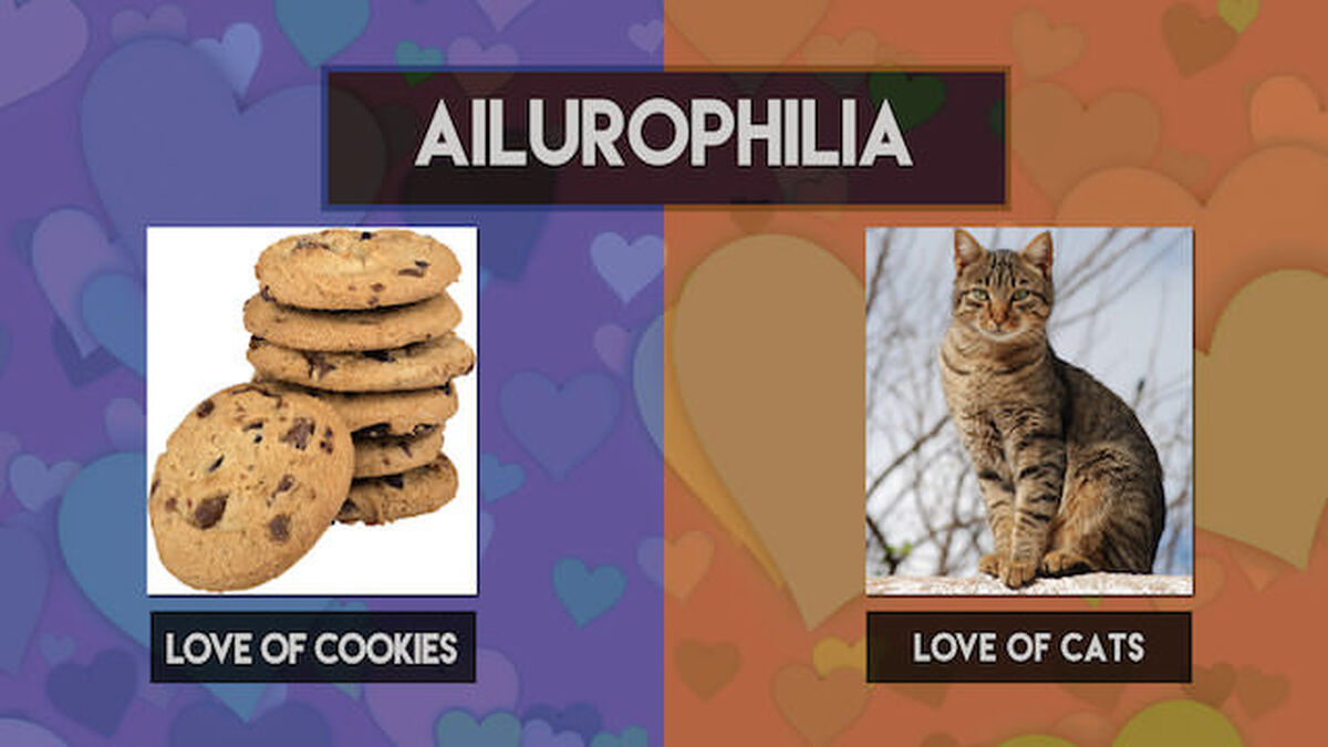 For the Love of _________. image number null