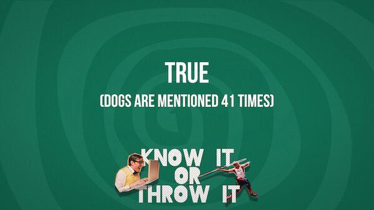 Know It or Throw It image number null