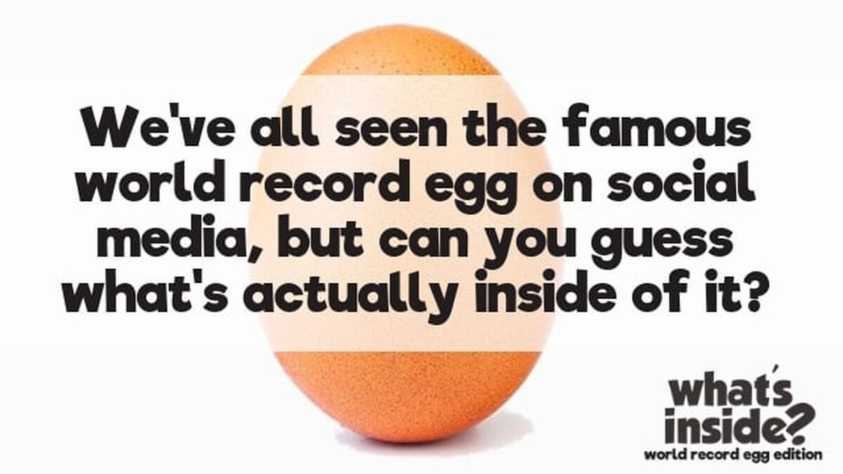 What's Inside? World Record Egg Edition image number null