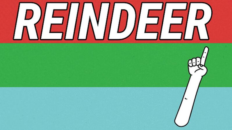 Reindeer Santa Sleigh