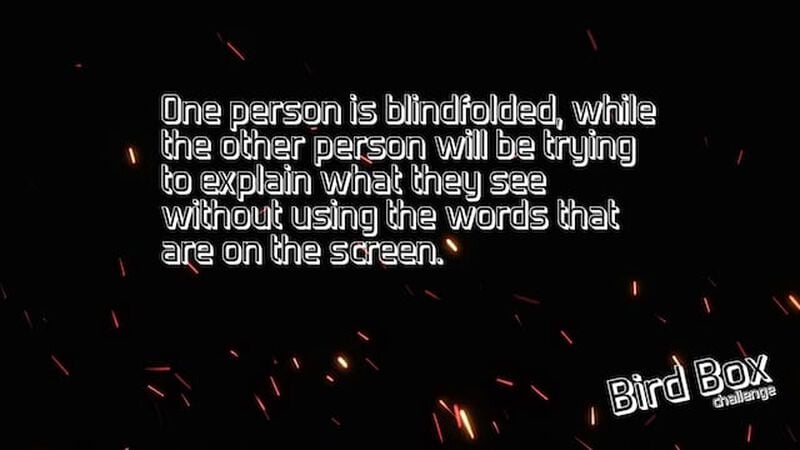 Bird Box Challenge: Ridiculous Photos Edition