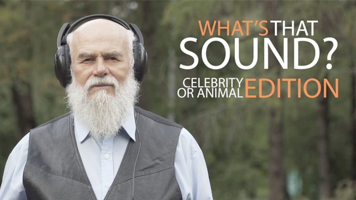What's That Sound: Celebrity Edition image number null