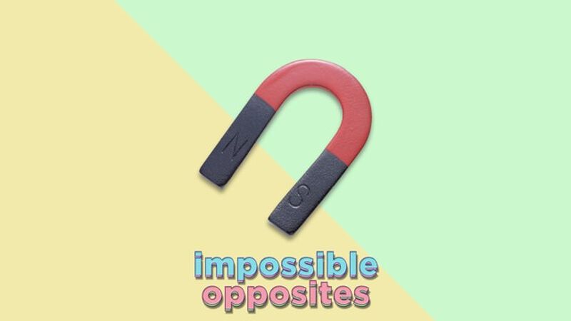 Impossible Opposites: Volume 2