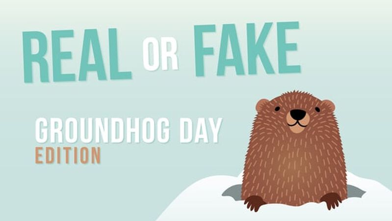 REAL OR FAKE: Groundhog Day Edition