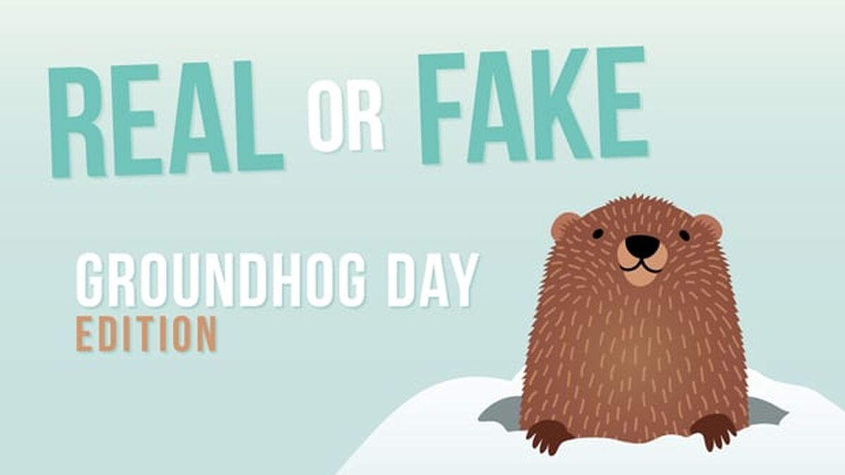 REAL OR FAKE: Groundhog Day Edition image number null