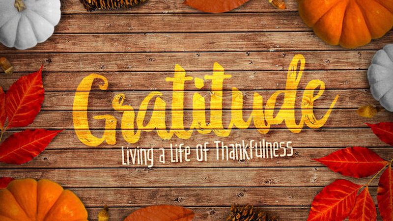 Gratitude Series: Creative Elements