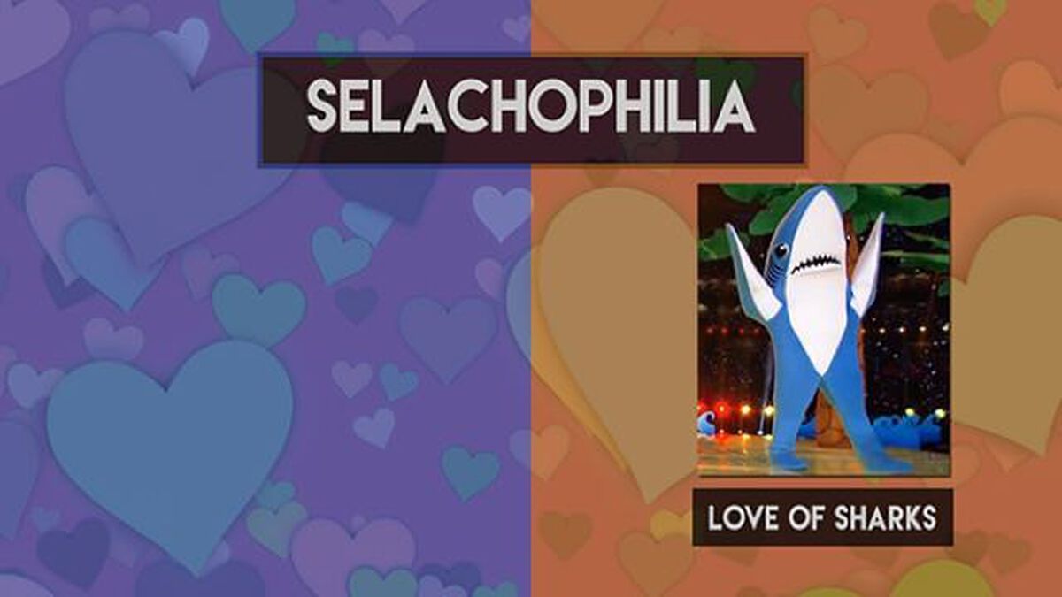 For the Love of _________. image number null