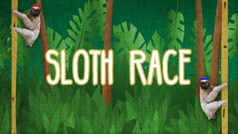 Sloth Race