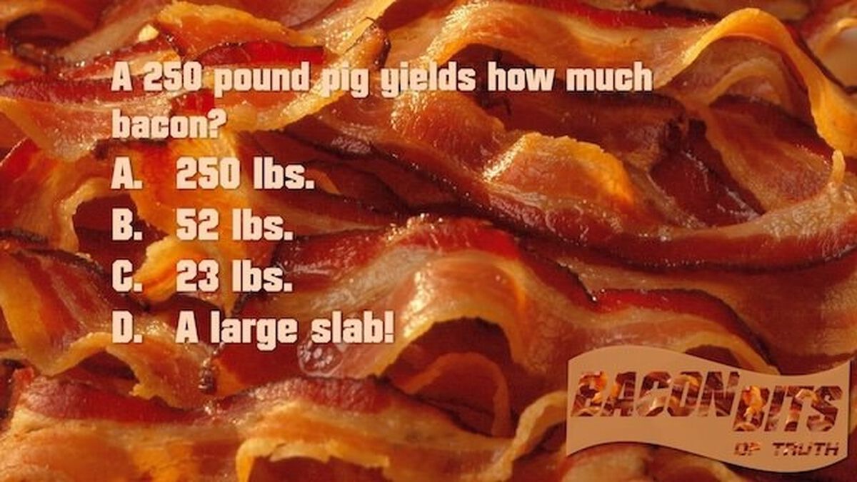 Bacon Bits of Truth (Bacon Trivia) image number null