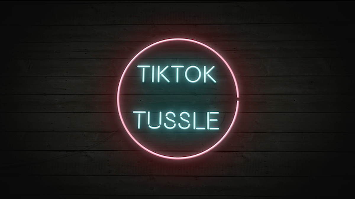 TikTok Tussle image number null