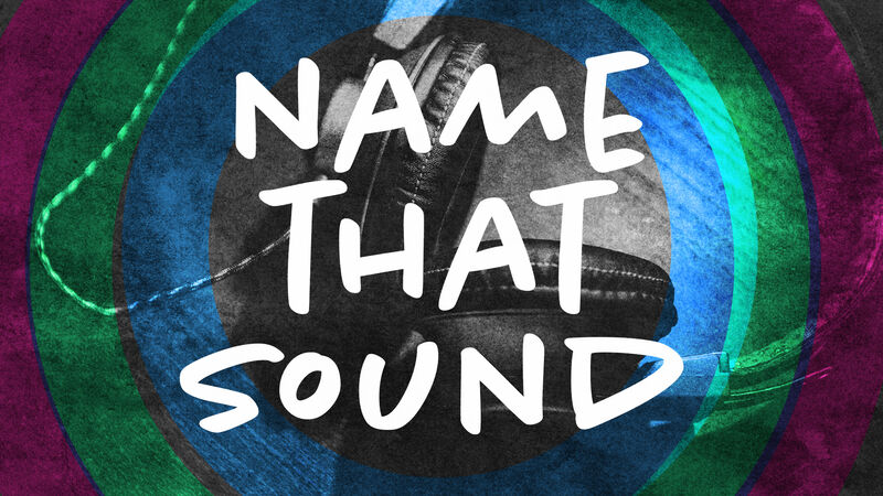 Name That Sound Game