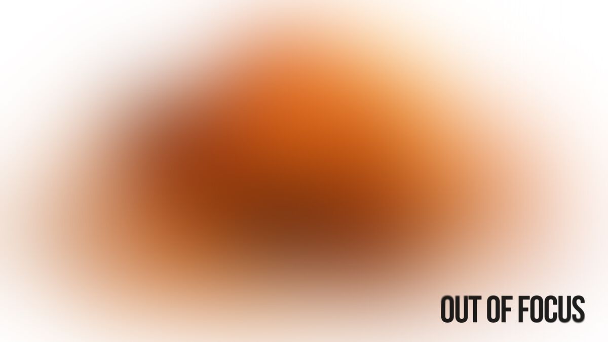 Out of Focus: Thanksgiving Edition image number null