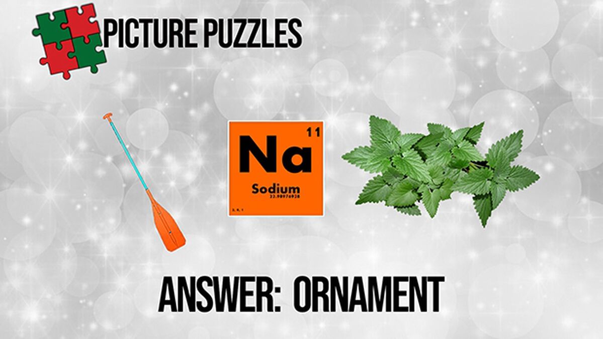 Picture Puzzles Christmas Edition image number null