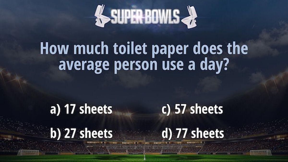 Super Bowls: The History of the Toilet image number null