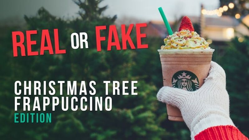 Real or Fake: Christmas Tree Frappuccino Edition