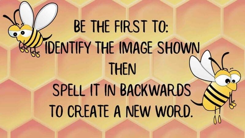 Reverse Spelling Bee Volume 2