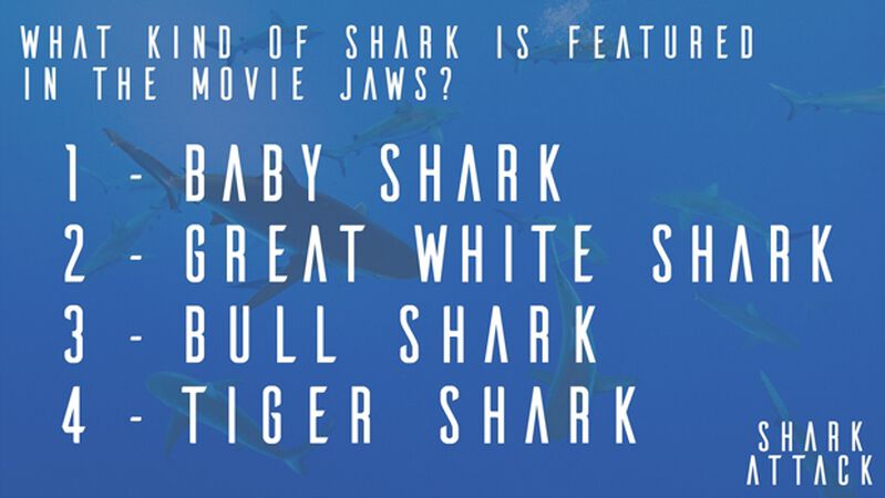 Shark Attack 2