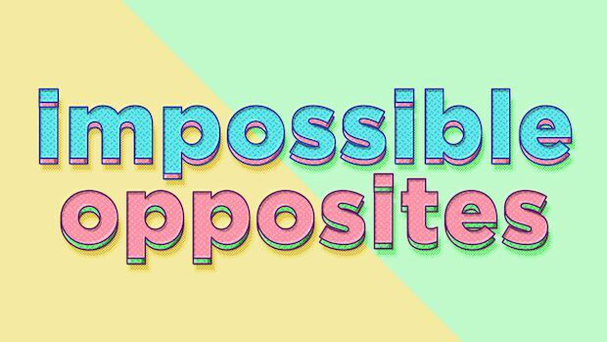 Impossible Opposites image number null