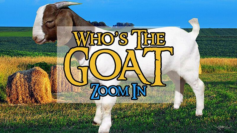 Who's The Goat? 