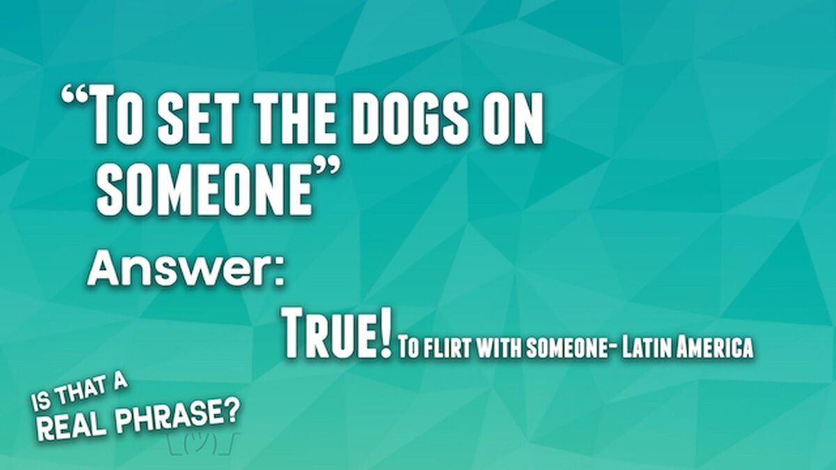 Is That a Real Phrase - Around the World Edition image number null
