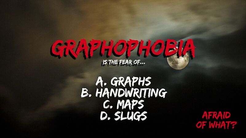 Afraid Of What? &ndash; Ridiculous Edition