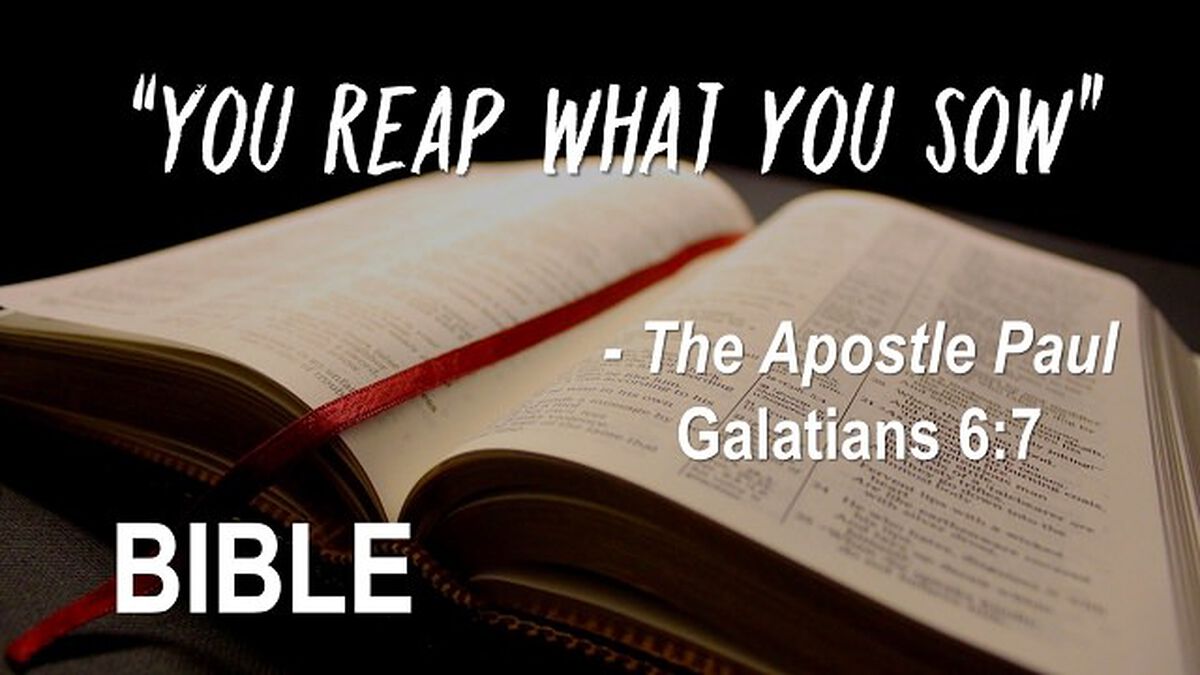 Is It In The Bible? image number null