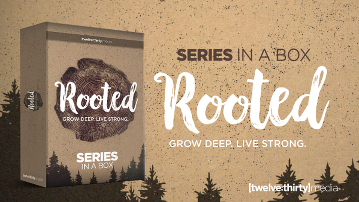 Rooted Series: Creative Elements  image number null