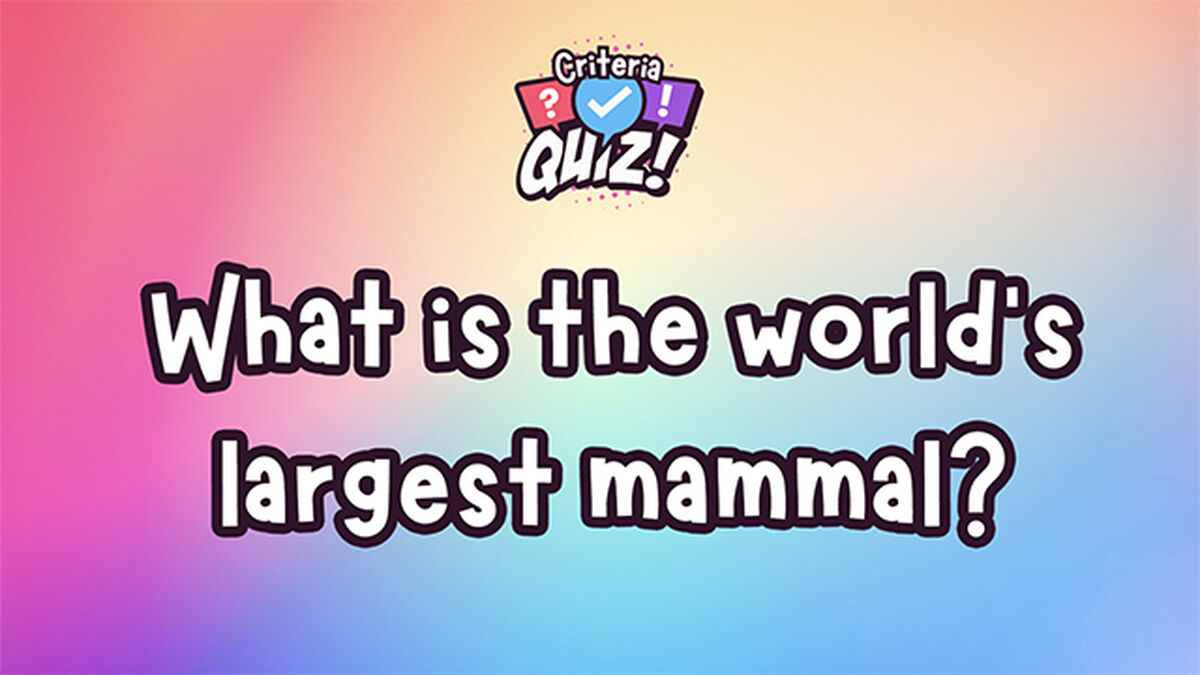 Criteria Quiz image number null