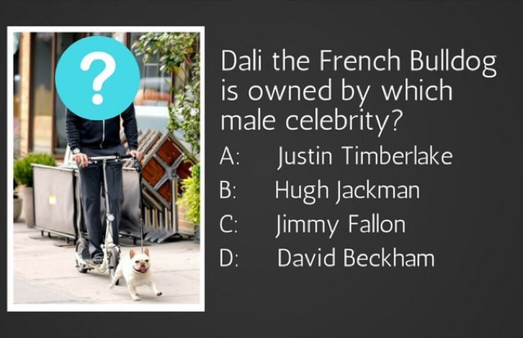 Whose Pet Is This? image number null