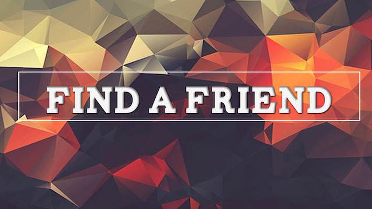 Find a Friend image number null