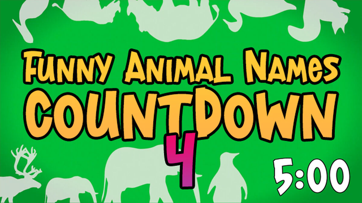 Funny Animal Names Countdown 4 | Countdowns | Download Youth Ministry