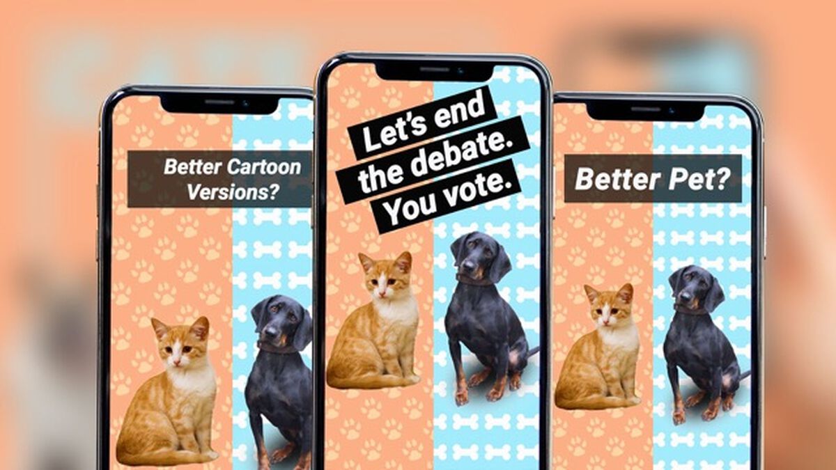 Cats vs Dogs - Story Edition image number null