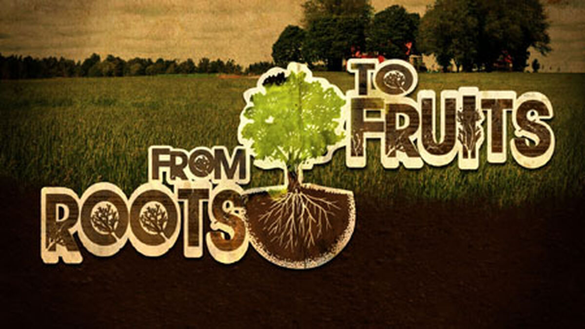From Roots to Fruits image number null
