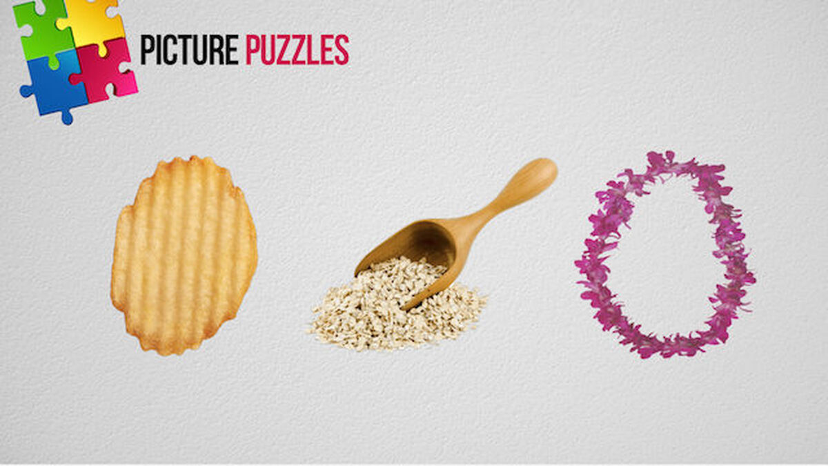 Picture Puzzles - Volume 2 image number null