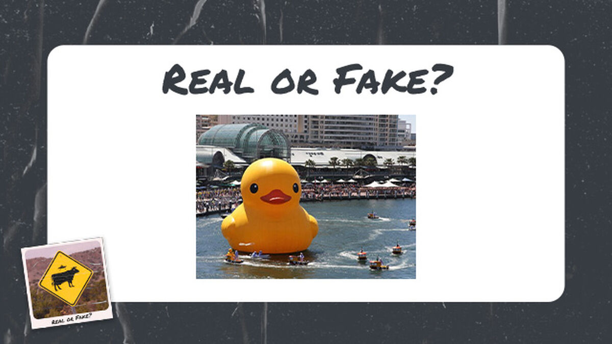 Real or Fake Volume 2 image number null