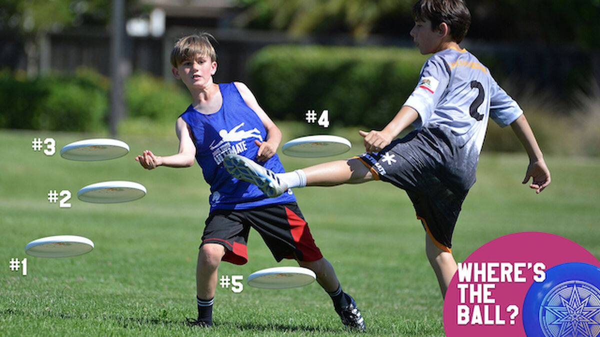 Ultimate Frisbee With a Ball 